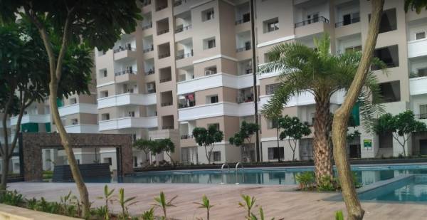  sun-valley Swimming Pool