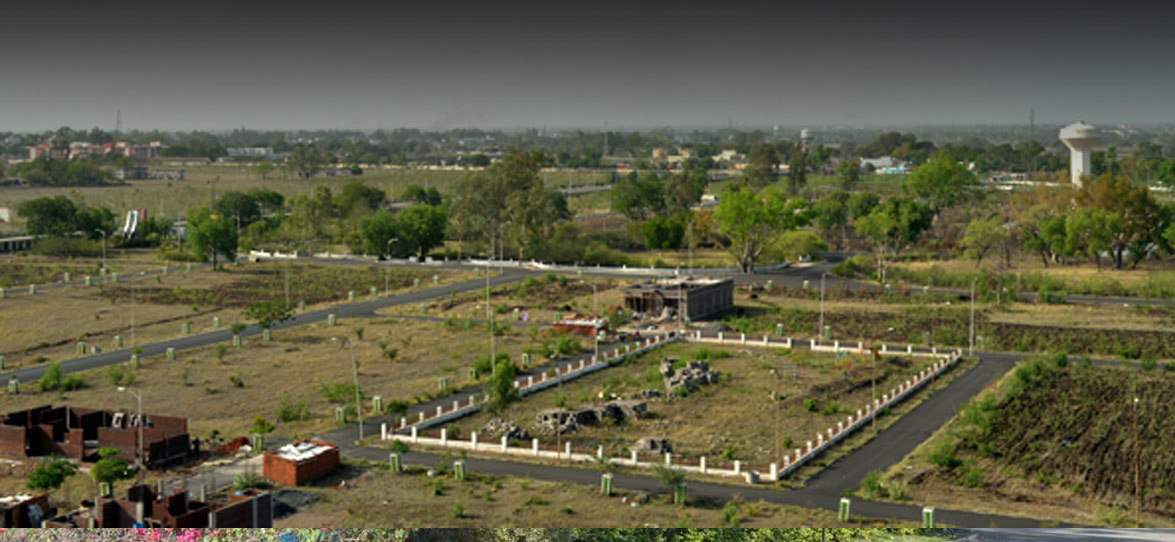  city Plot