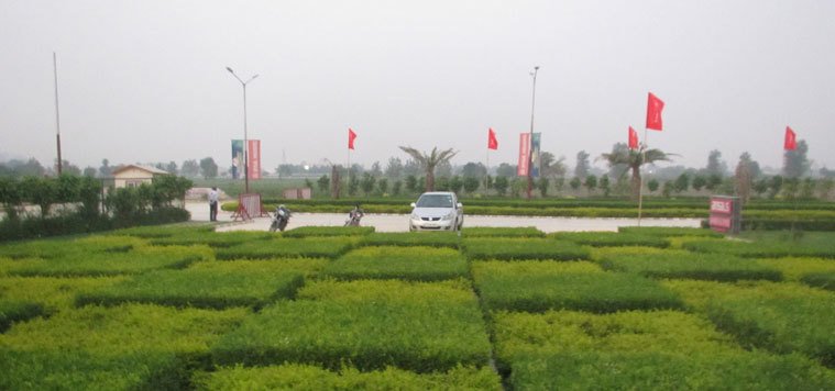  palm county Car Parking