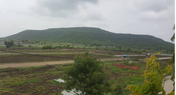  mountburg-phase-ii Elevation