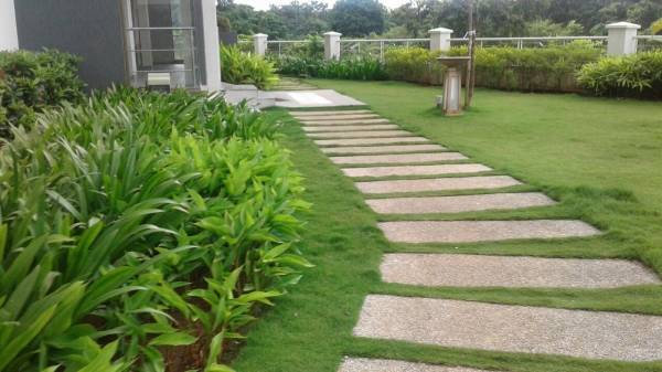  esmeralda Jogging Track