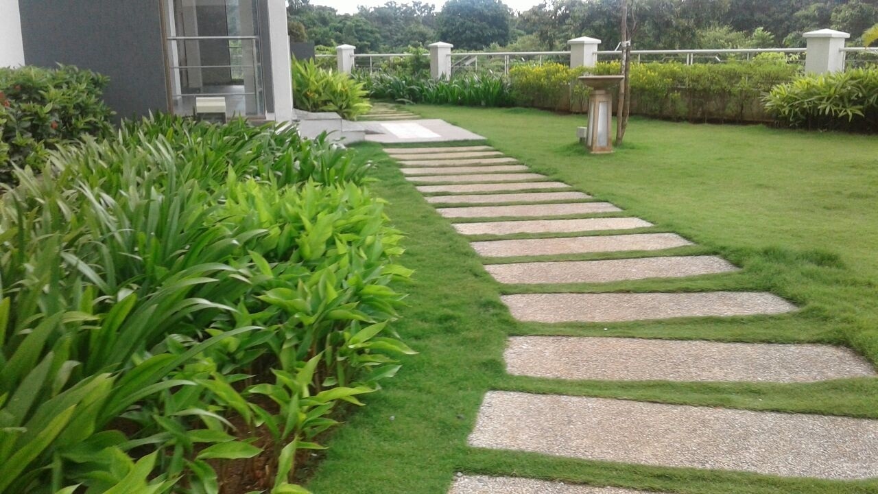  esmeralda Jogging Track