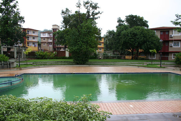  woods Swimming Pool