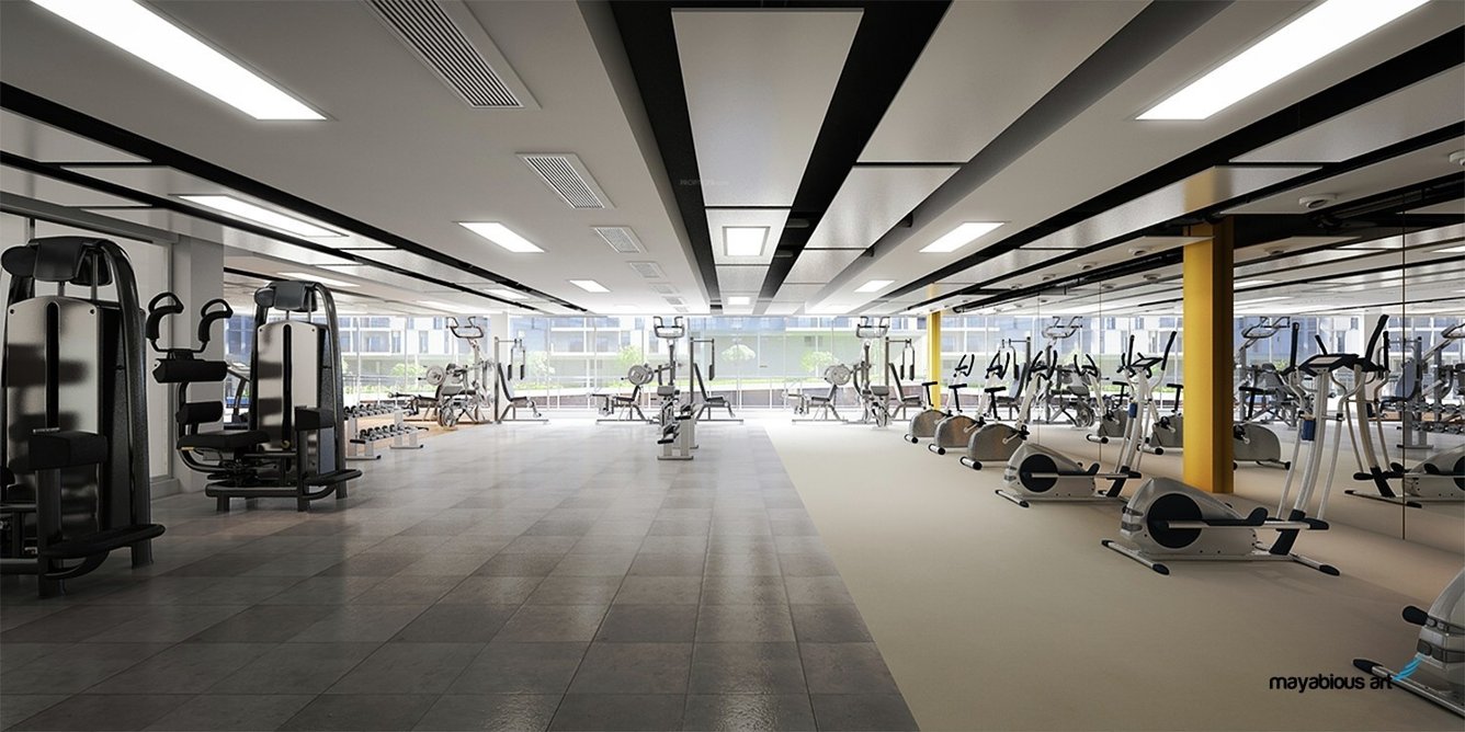  the parksyde Gymnasium