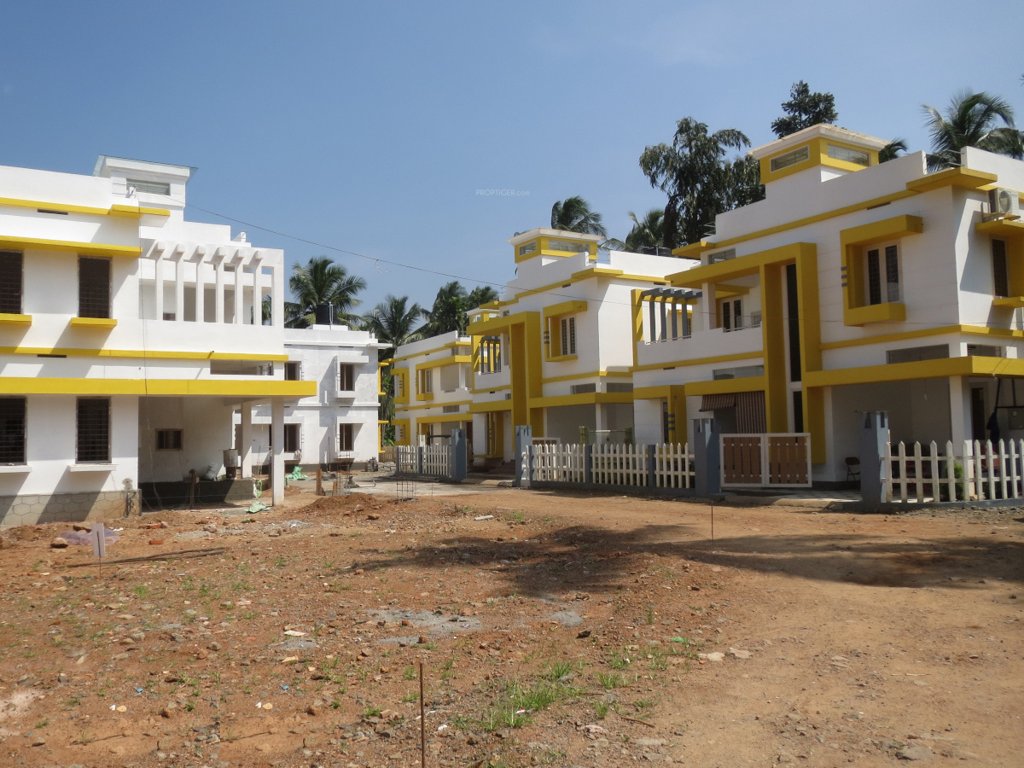  green aura Elevation