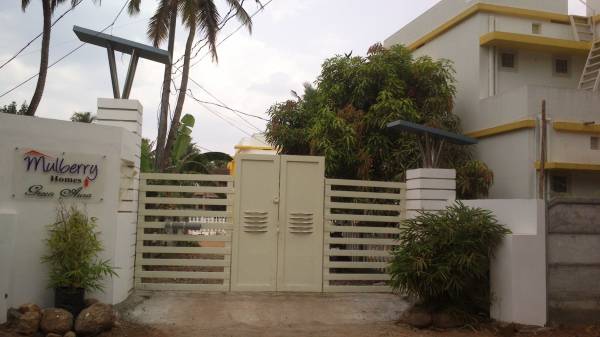 Others green-aura Others