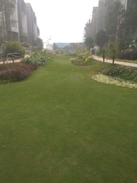  resort residences forest floor Images for Amenities of Rise Resort Residences Forest Floor