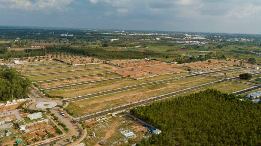 Images for Project Images for Project