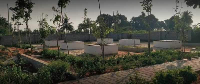  county address Elevation