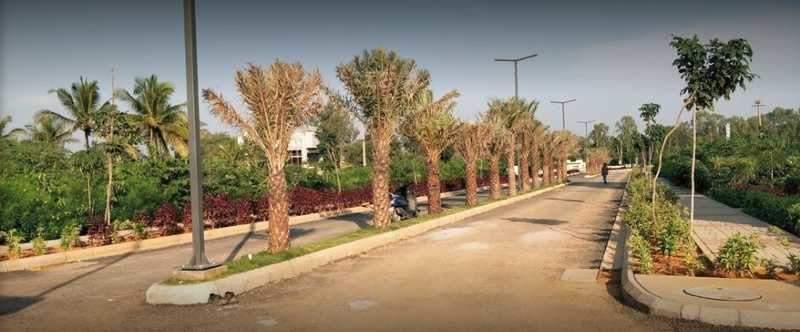  county address Elevation