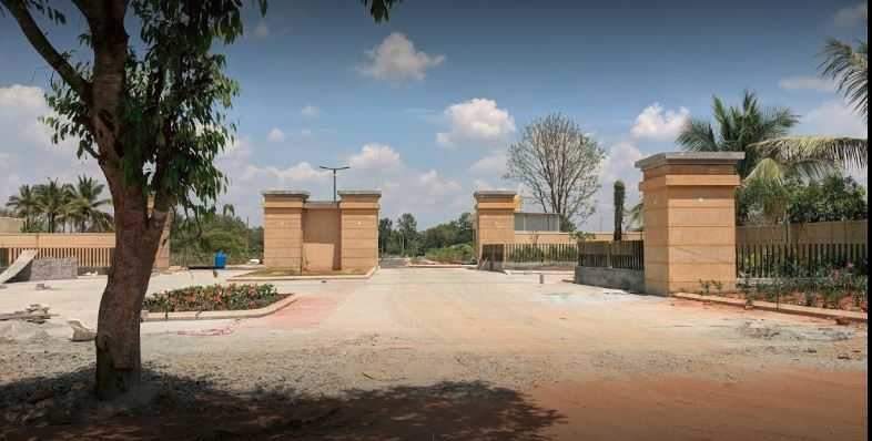  county address Elevation