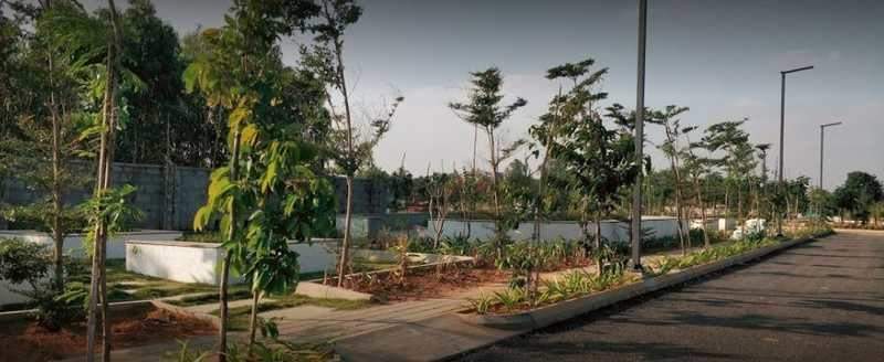  county address Elevation