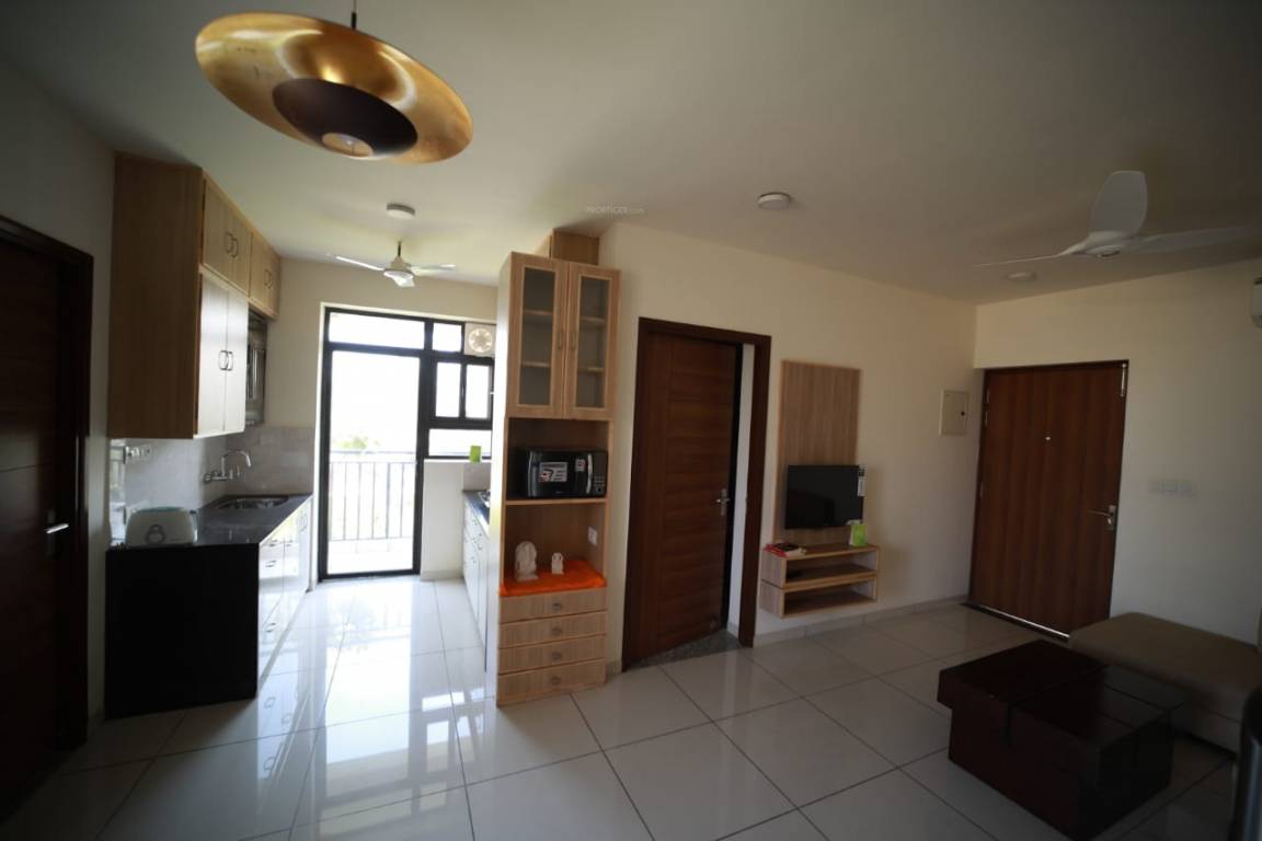 Images for mainOther