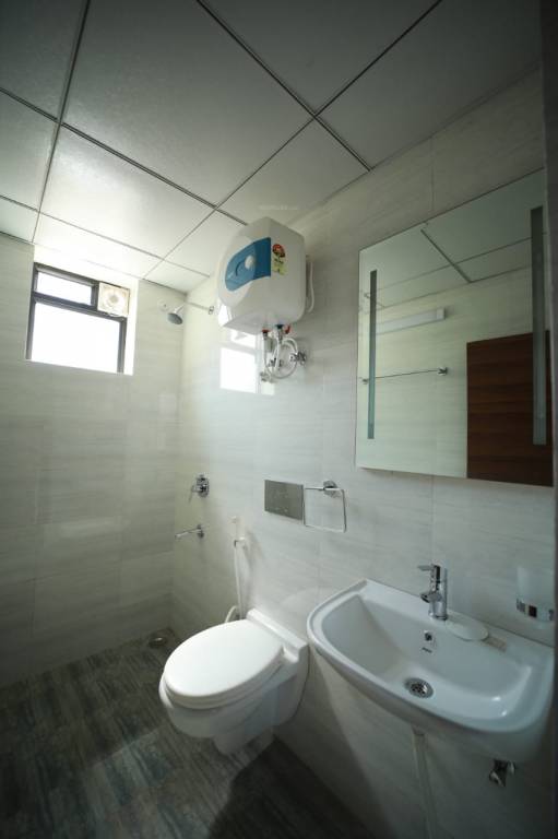 Images for mainOther