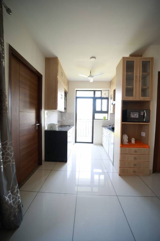 Images for mainOther