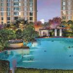 Swimming Pool west-county-phase-2-dosti-cedar Swimming Pool