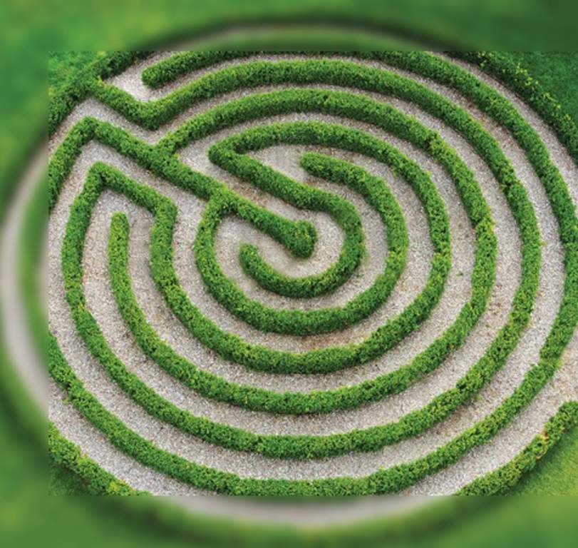 Images for Amenities of Ace Ajanta