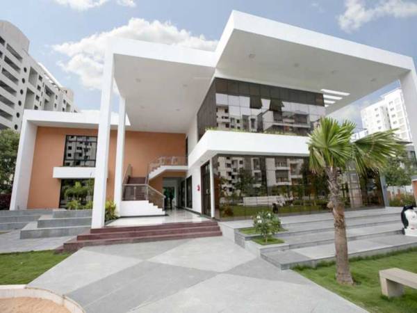  graffiti-phase-4 Elevation