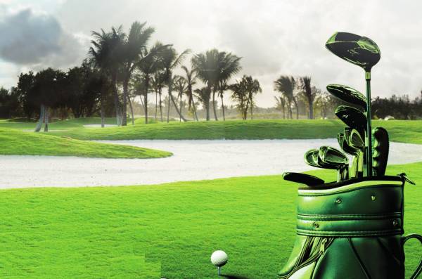 Images for Amenities of Ajnara Olive Greens