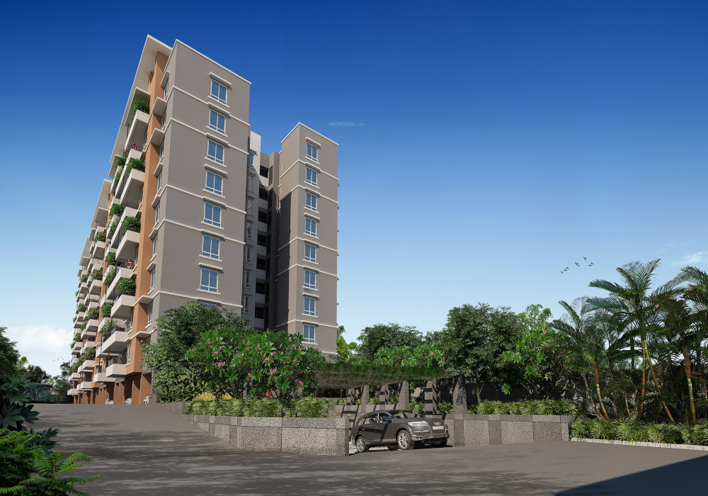  the marquise Elevation