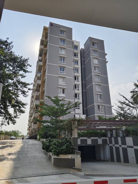  the marquise Elevation