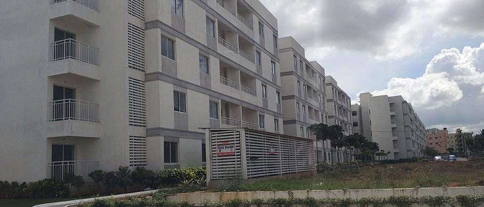  e city phase 2 Elevation