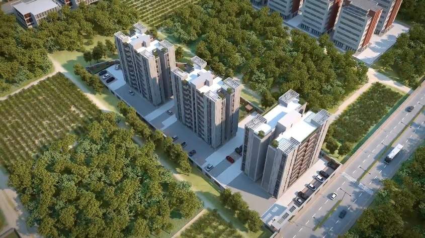  orchid calisto Elevation