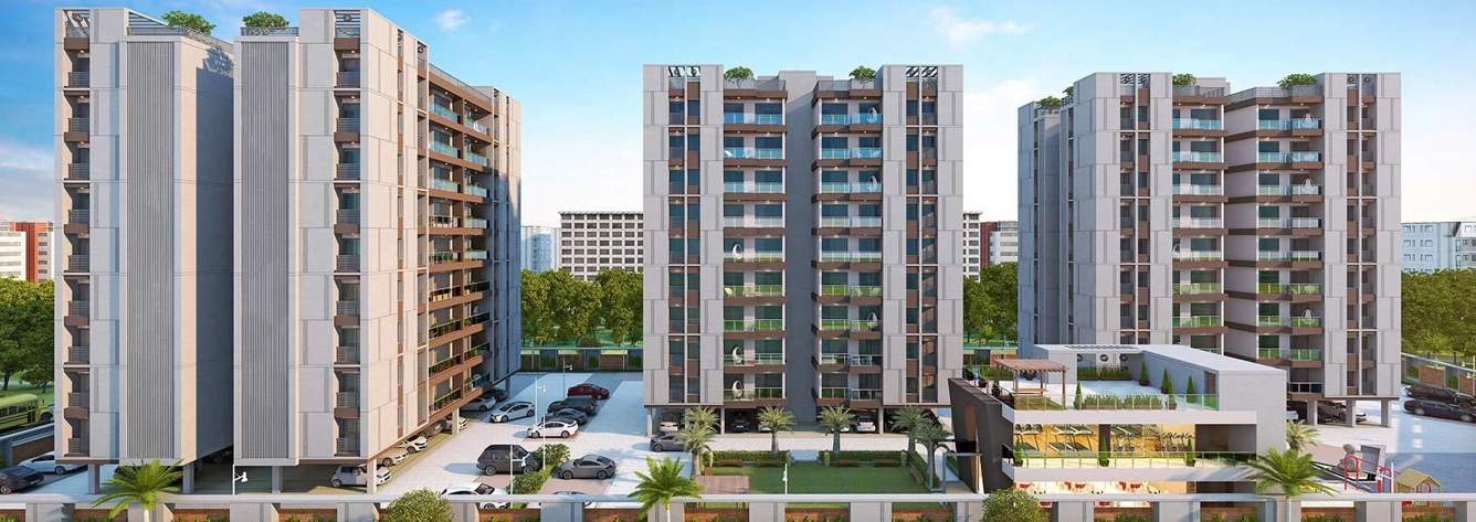  orchid calisto Elevation