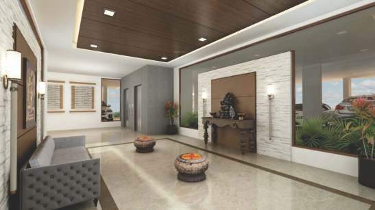 Calisto Orchid Calisto