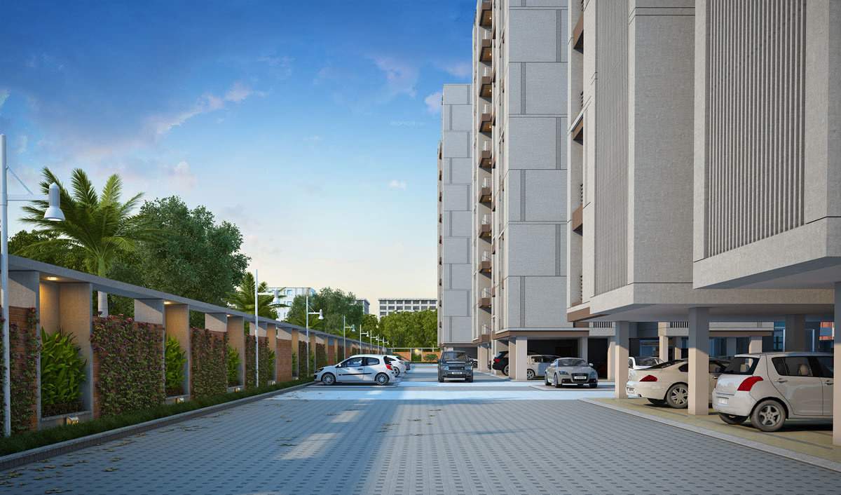 Calisto Orchid Calisto