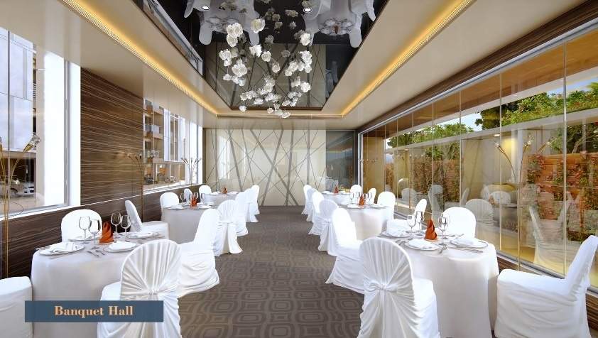 Calisto Orchid Calisto