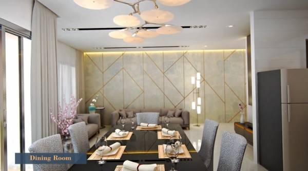 mainOther of Calisto Orchid Calisto