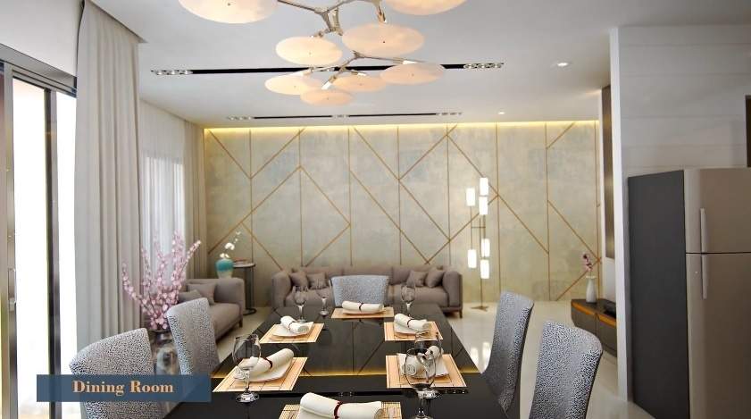 Calisto Orchid Calisto