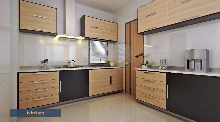 Calisto Orchid Calisto