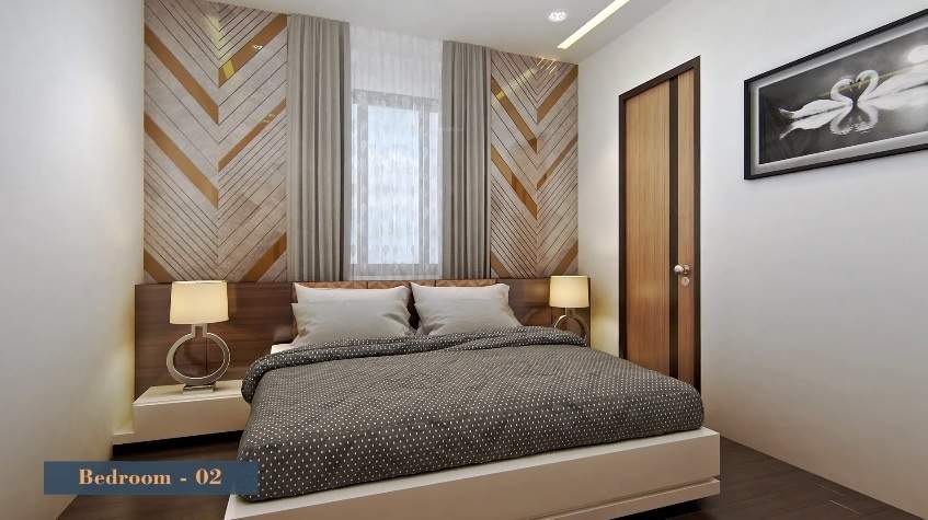 Calisto Orchid Calisto