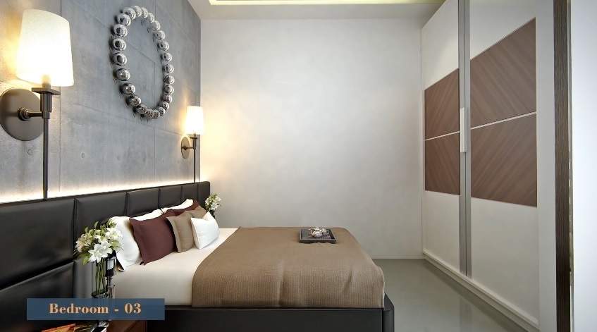 Calisto Orchid Calisto