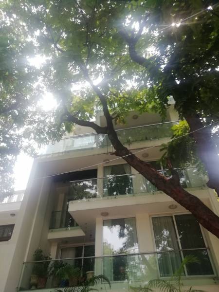 Elevation gallery-7 Elevation