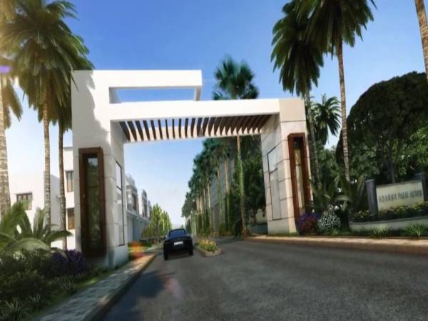  palm-acres-palm-aqua Elevation