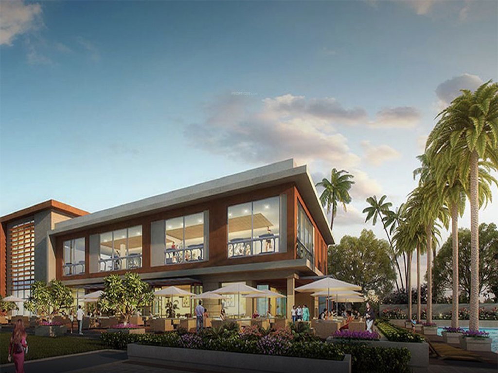  palm acres palm aqua Others