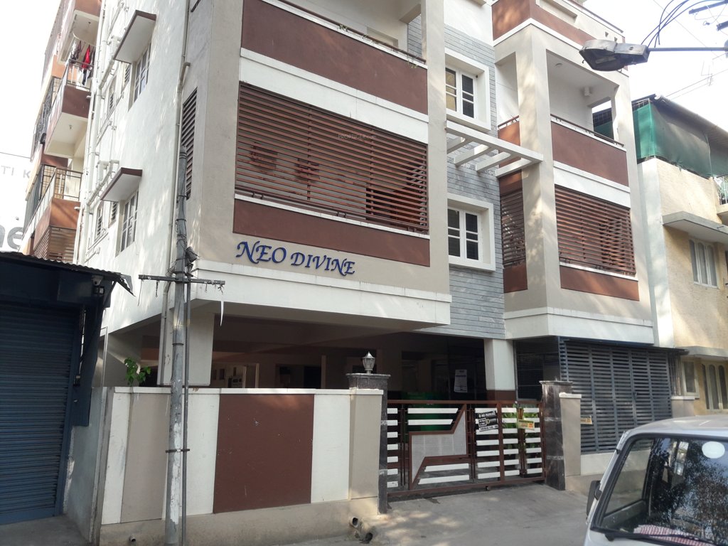  devine apartment Elevation