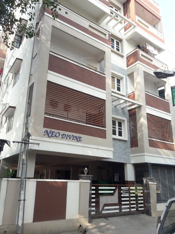  devine apartment Elevation