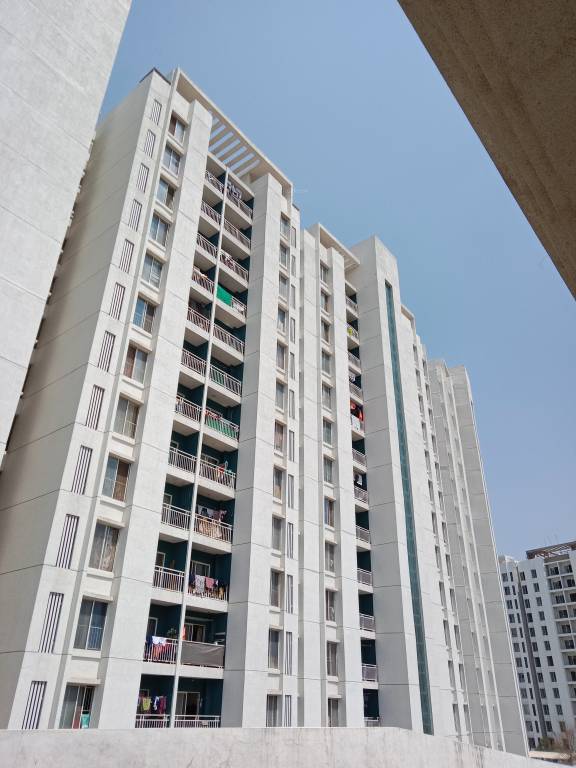 megapolis springs d and e Elevation