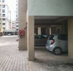 Others city-iris Others