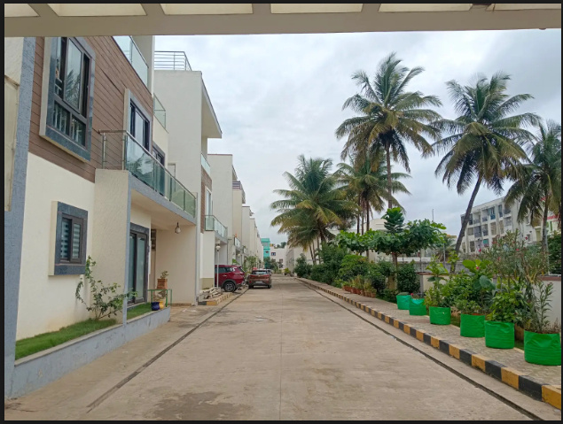  misty meadows Elevation