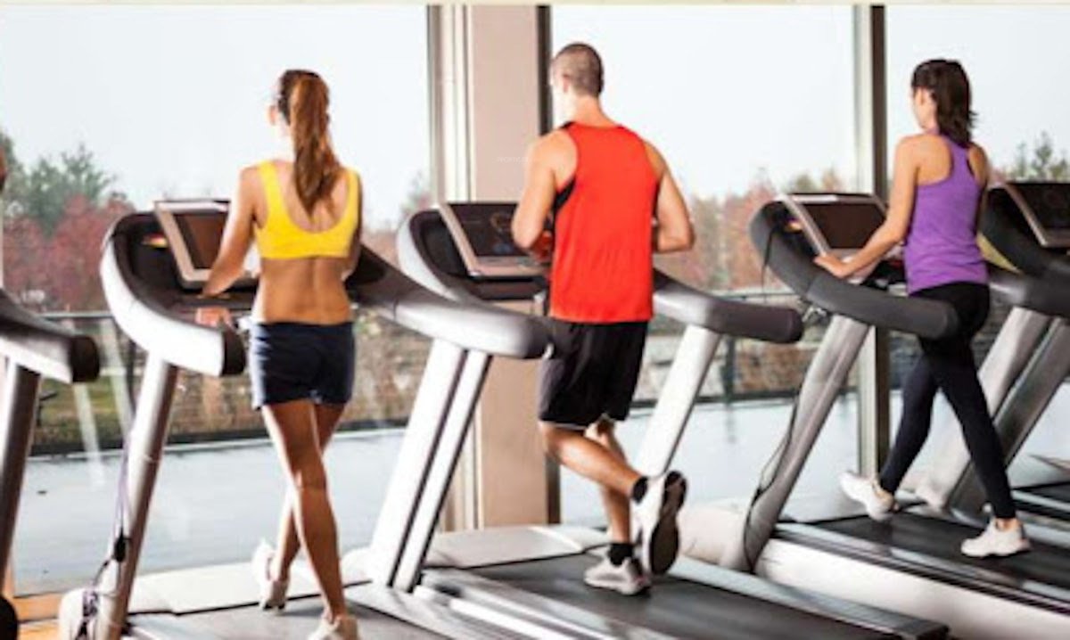  swastik floresta  Gymnasium