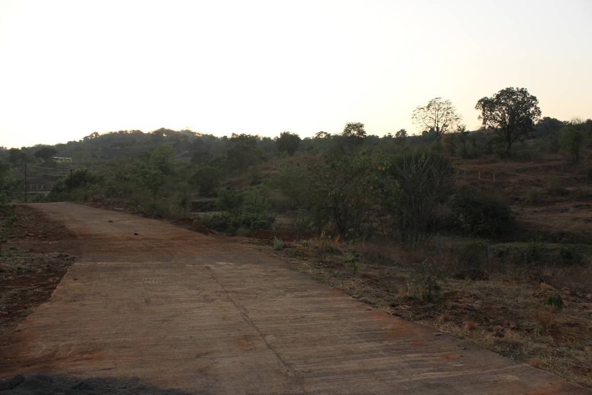 Images for Main Other of Elysian Phuloraa