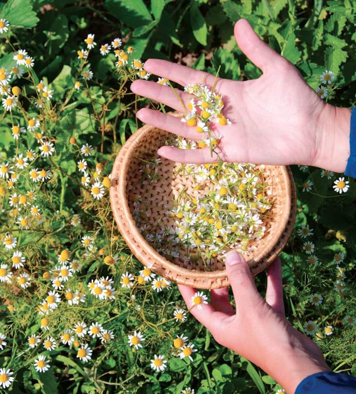 Images for Amenities of Shapoorji Pallonji Joyville Hinjawadi