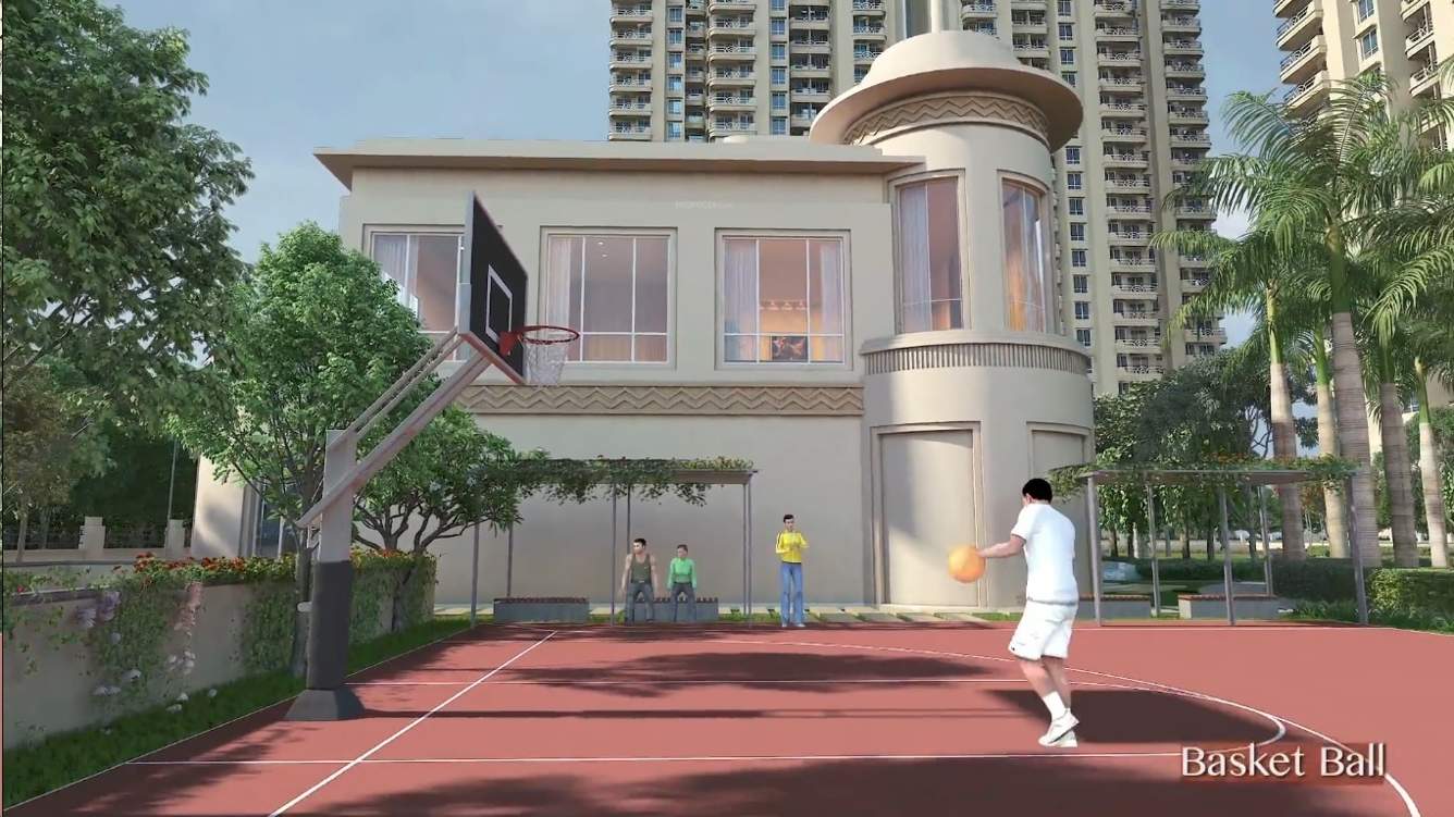 sublimis Basketball Court