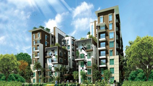  maple-square-block-b Images for Elevation of Estella Maple Square Block B