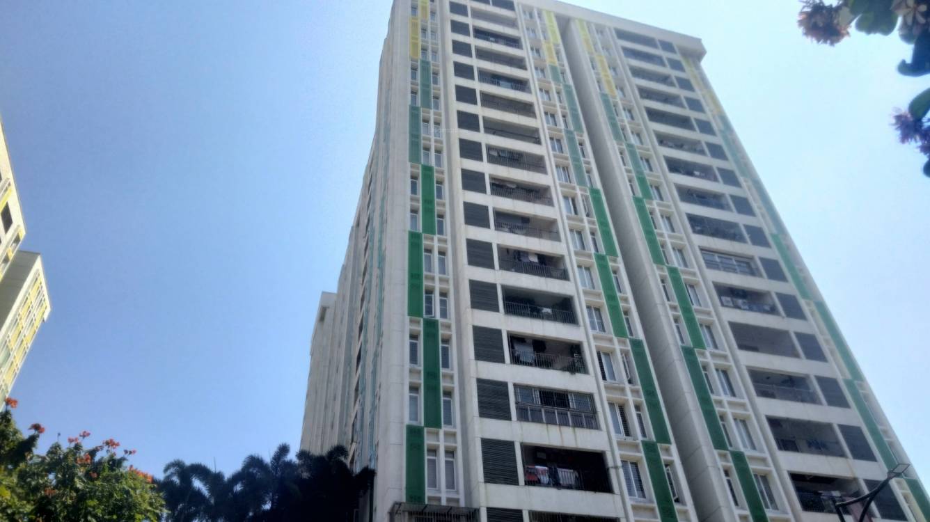  trellis north phase Elevation